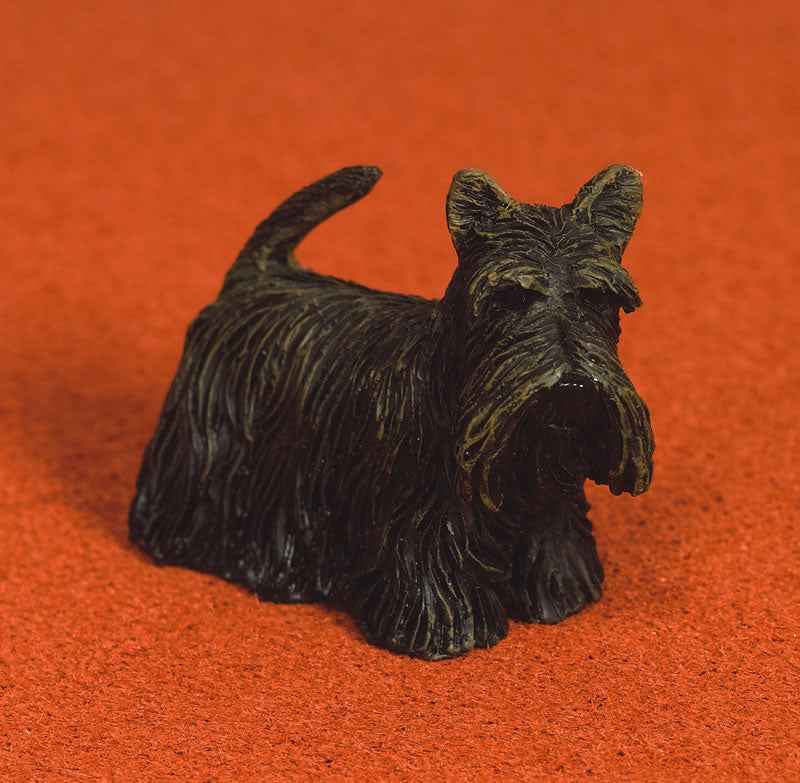 Sammie de Schotse terrier