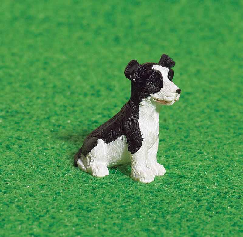 Benji the Border Collie