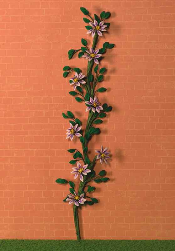 klimmende paarse Clematis