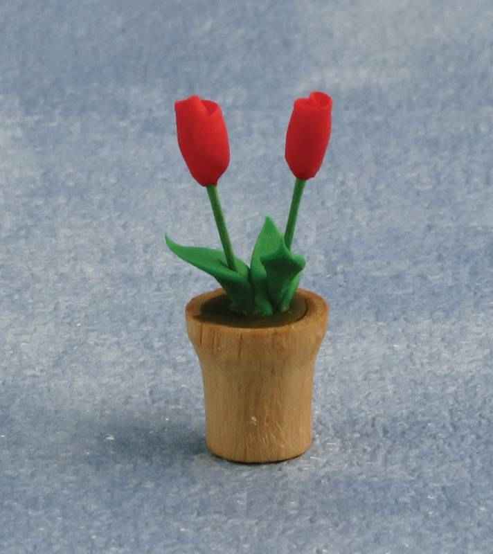 Rode tulpen in pot