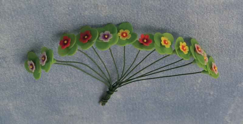 Viooltjes, 12 stuks