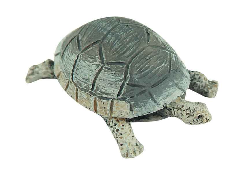 Schildpad, per stuk