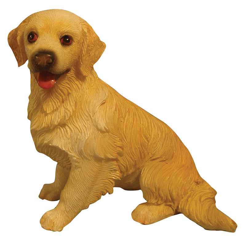 Golden Retriever, zittend