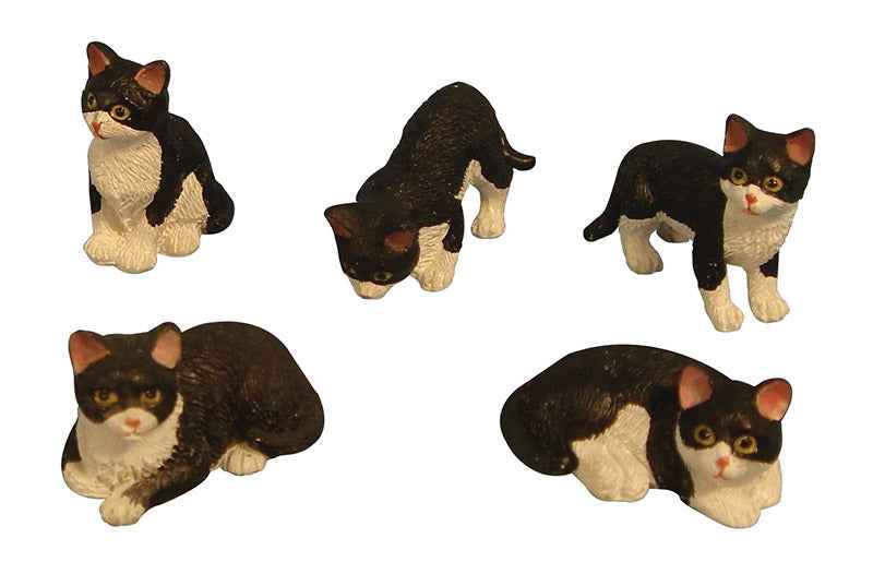 Kat, zwart/wit, 5 stuks