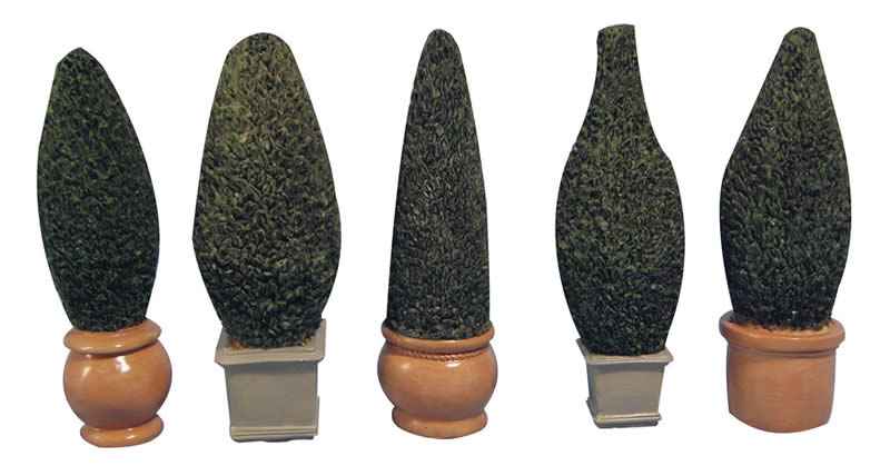 Bomen in pot, 5 stuks
