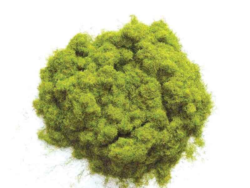 Tuingras, 20 gram, zomerkleur