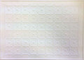 Luxury Embossed Ceiling Paper