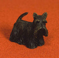 Sammie de Schotse terrier