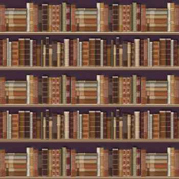 Traditional Bookcase Wallpaper