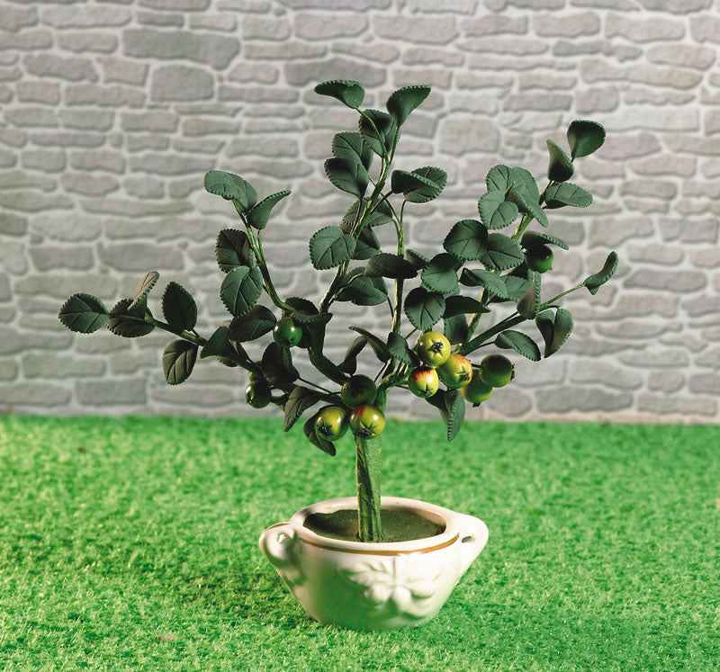 Appelboom in pot