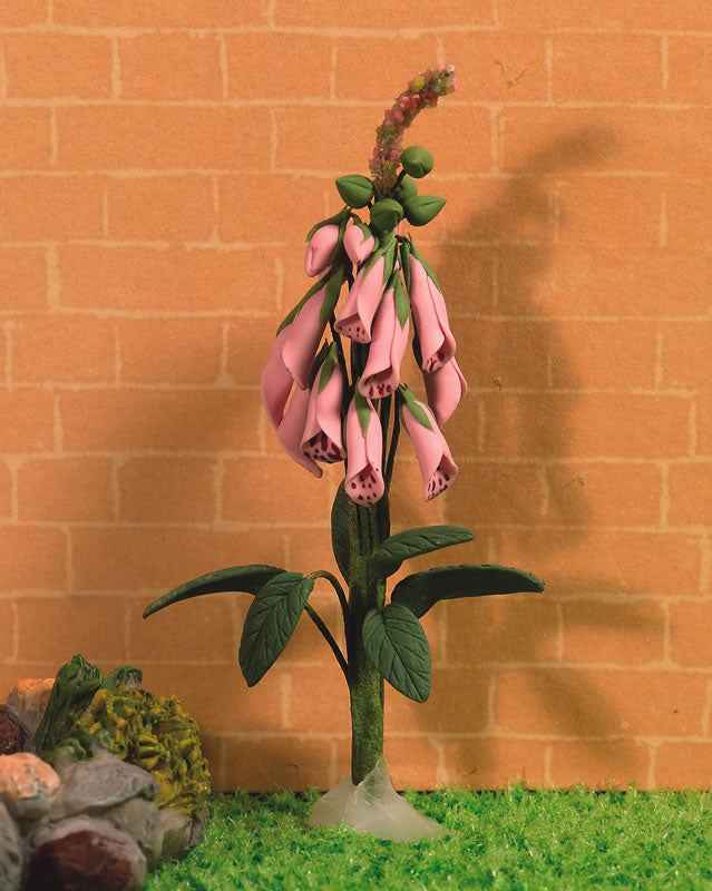 Wilde roze vingerhoedskruid
