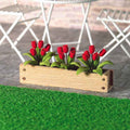 Bloembak met rode tulpen