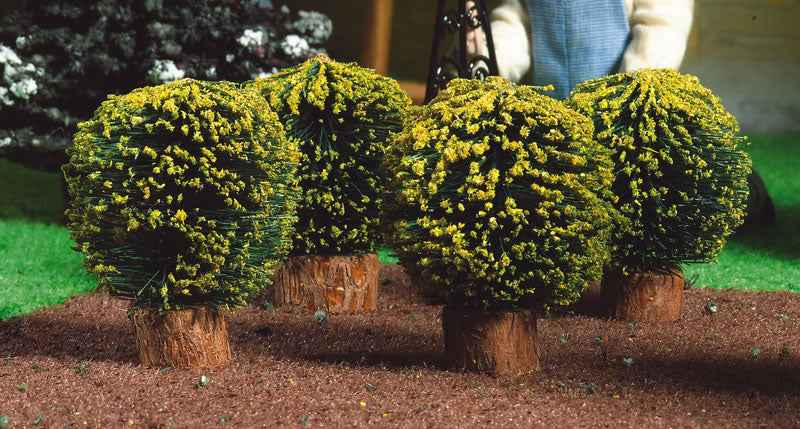 Ronde bosjes, 4 stuks