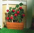 tomatenplant in pot