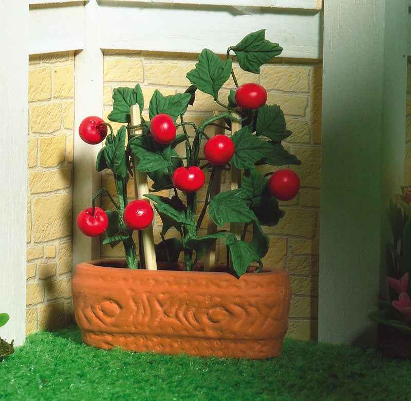 tomatenplant in pot