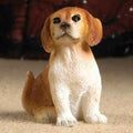 Scoobie de bruin/witte Pup