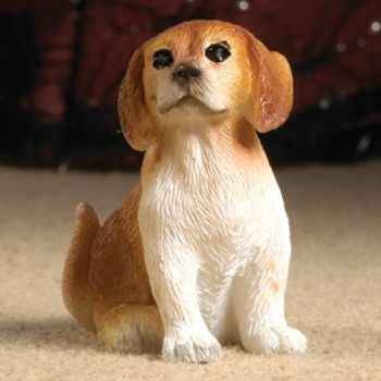 Scoobie de bruin/witte Pup