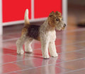 Tommy de Fox Terrier