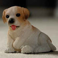 Poppy de bruin/witte pup