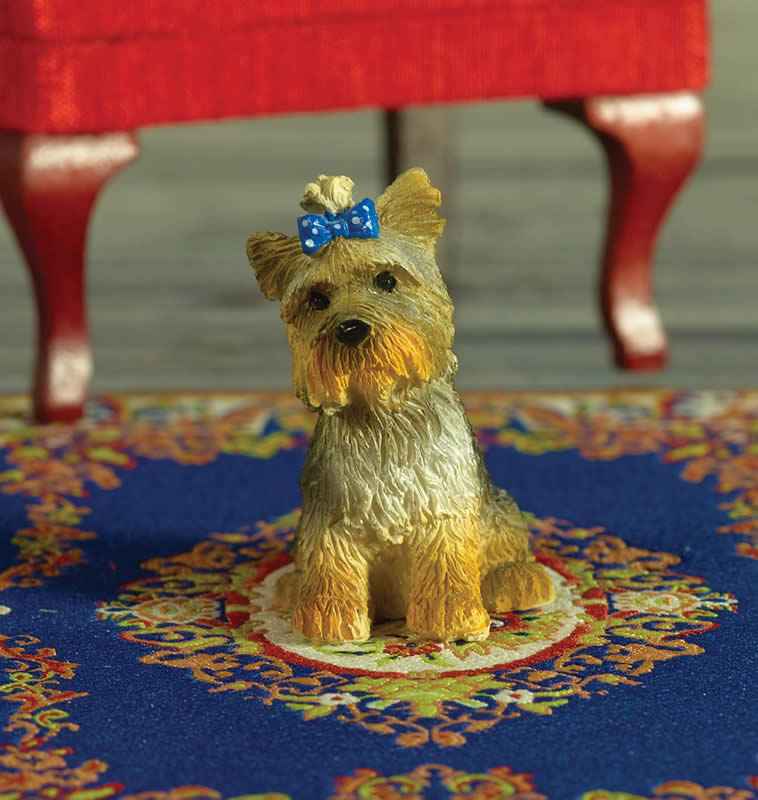 Boo de Yorkshire Terrier