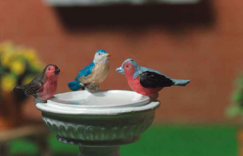 Vogels, 3 stuks