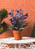 paarse plant in pot