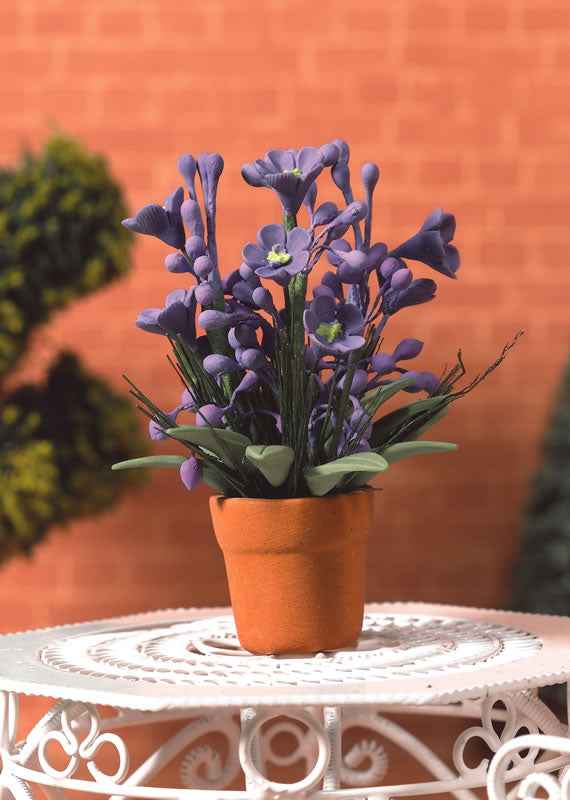 paarse plant in pot