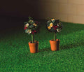 2 potjes met roosjes en groen blad