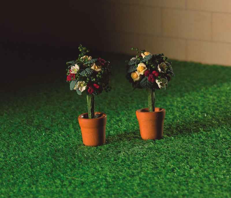 2 potjes met roosjes en groen blad
