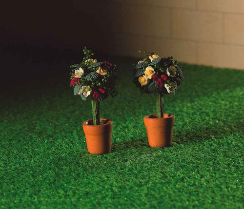 2 potjes met roosjes en groen blad