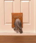 Sally de poes/kat