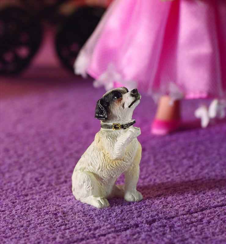 Fergie de Jack Russell Terrier