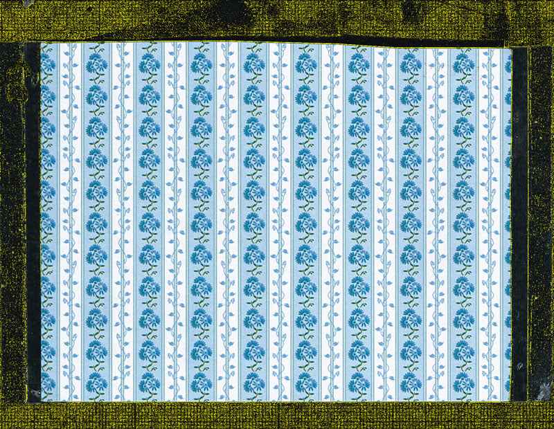 behang blauw aster