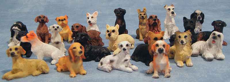Honden set van 24