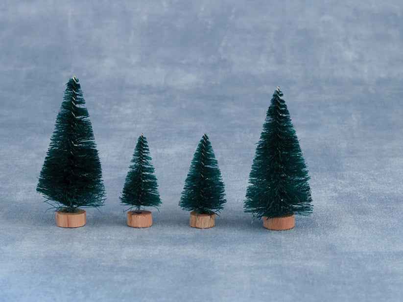 Diverse boompjes, 8 stuks