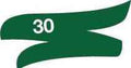 Matt Dark Green Enamel