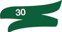 Matt Dark Green Enamel