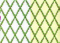 Behang wit /groen