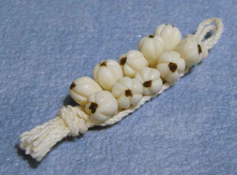 Streng knoflook