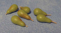 Peren, groen, per 6 st.