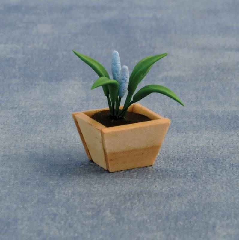 Plant in vierkanten bak
