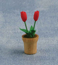 Rode tulpen in pot