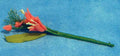 Bouquet snijbloemen