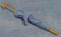 Paraplu