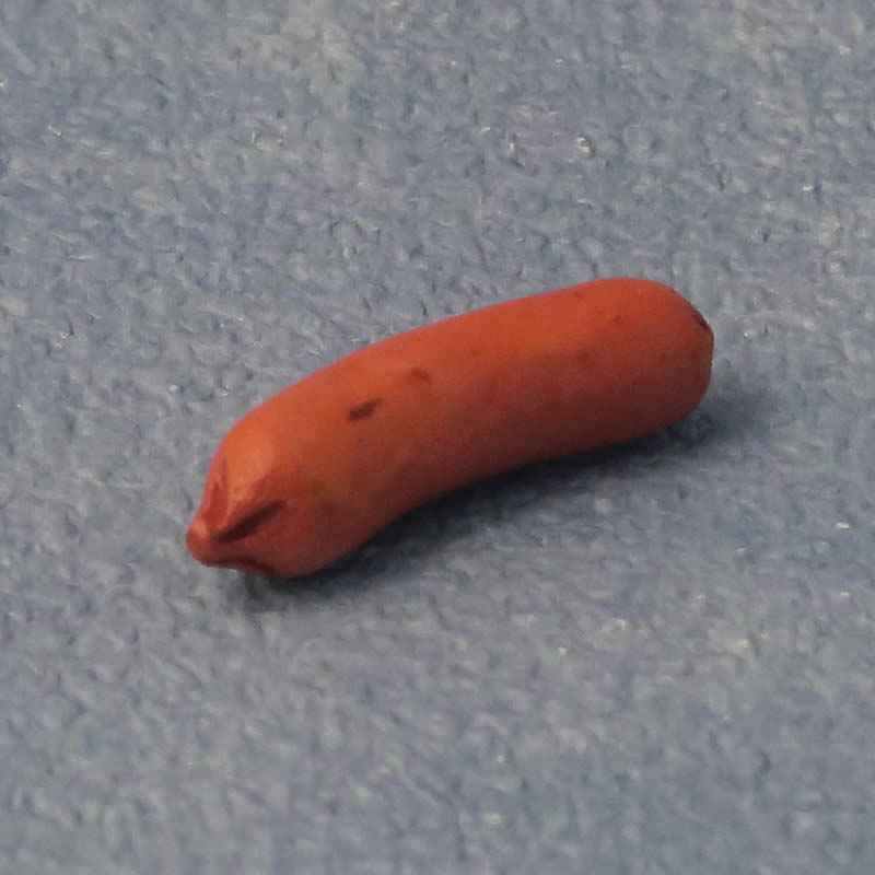 Frankfurter worst