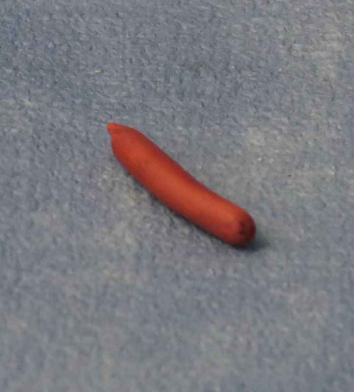 cervelaatworst
