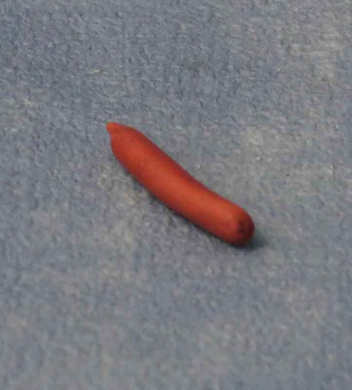 cervelaatworst