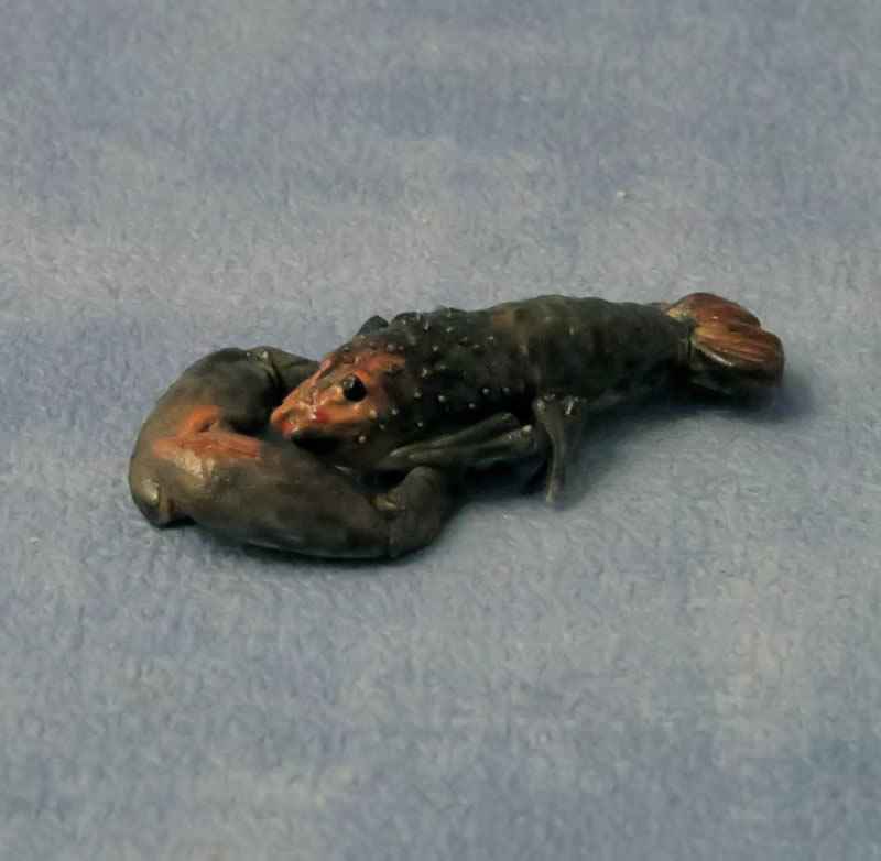 Kreeft