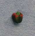 Rood groene paprika, 6 stuks