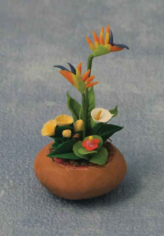 Plant  in Pot
